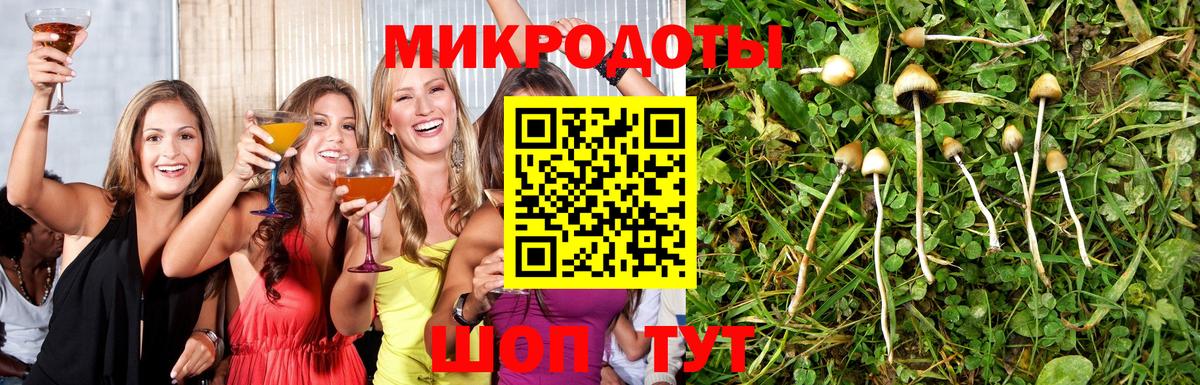 Галлюциногенные грибы ЛСД Альметьевск