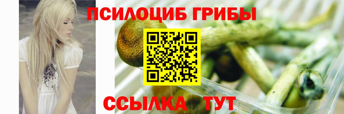 Псилоцибиновые грибы Psilocybine cubensis  купить наркоту  Альметьевск  Вход с VPN  Псилоцибиновые грибы ЛСД 